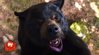 Cocaine Bear 2023  Eaten Alive in the Tree Scene  Movieclips