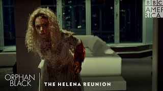 The Helena Reunion  Orphan Black Top Moments  BBC America