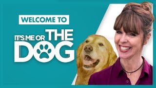 Welcome to Its Me or the Dog With Victoria Stilwell