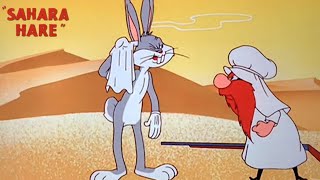 Sahara Hare 1955 Looney Tunes Bugs Bunny and Yosemite Sam Cartoon Short Film