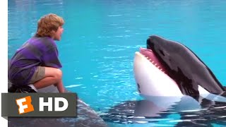 Free Willy 1993  Willys Soulmate Scene 410  Movieclips