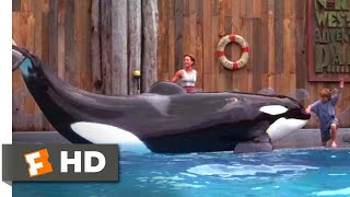 Free Willy 1993  Willys Performance Scene 610  Movieclips
