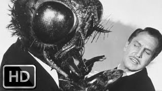 The Fly 1958  Trailer in 1080p