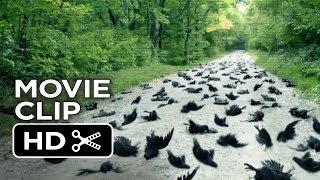 Alien Abduction Movie CLIP  Birds 2014  Found Footage SciFi Horror Movie HD
