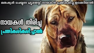 White God 2014 Explained In Malayalam  Dog Movie Explained In Malayalam