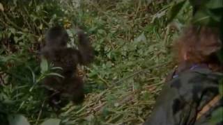 Gorillas In The Mist Trailer HD