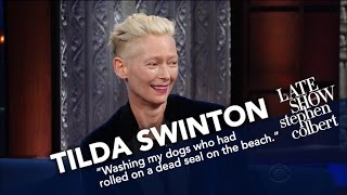 Tilda Swintons Acting Inspiration Came From A Donkey
