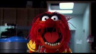 Official Teaser Trailer  Muppets Most Wanted  The Muppets