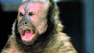 Monkey Shines Official Trailer 1  Stanley Tucci Movie 1988 HD