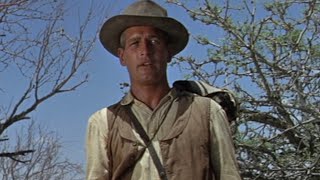 Paul Newman  Hombre 1967  Youve got a lot of hard bark on you  Classic Westerns