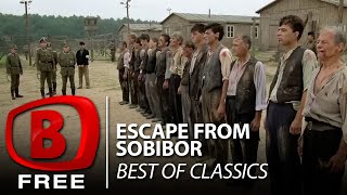 Boom TV  Escape from Sobibor  Full Drama Movie  History  War