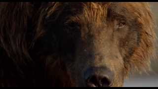Disneynatures Bears  Trailer  Official  HD