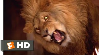 Crocodile Dundee in Los Angeles 2001  Lion Attack Scene 1010  Movieclips