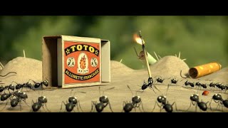 Minuscule Valley of the Lost Ants 2013 movie explained red ants aur black ants ka mahayudh