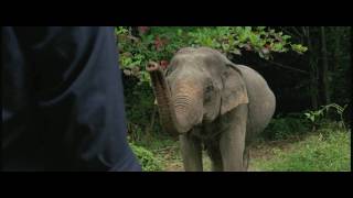 Mammoth  Trailer 1 HD