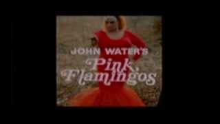 pink flamingos trailer 1972