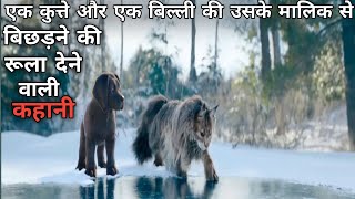 cat and dog 2024 adventure movie explained in Hindiurdu  thriller movie plotted in hindi 