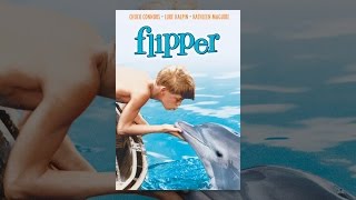 Flipper 1963