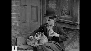 Charlie Chaplin saves Scraps from a wild pack of dogs  From A Dogs Life
