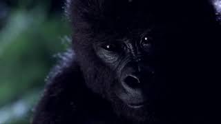 Mighty Joe Young 1998 Scene Ruths deathWindsong