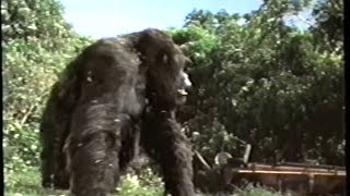 Mighty Joe Young 1998 Teaser VHS Capture