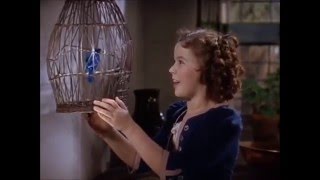 Shirley Temple  The Blue Bird 1940  Mytyl Finds True Happiness Within Herself