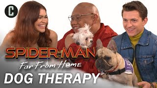 Tom Holland Zendaya and Jacob Batalon Play with Therapy Dogs
