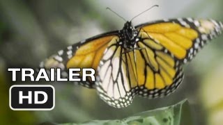 Flight of the Butterflies Official Trailer 1 2012  IMAX 3D Movie HD