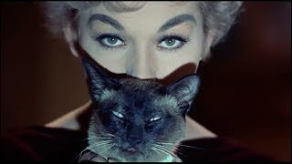 Bell Book and Candle 1959  Classic Clip  Im Allergic To Your Cat  James Stewart  Kim Novak