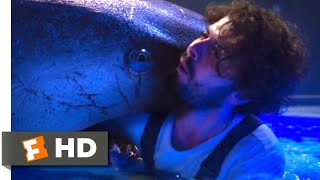 Deep Blue Sea 2 2018  In the Sharks Mouth Scene 310  Movieclips