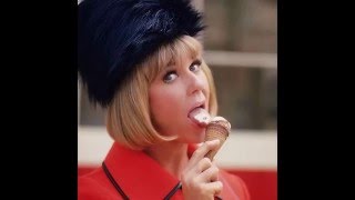 Doris Day  Cary Grant  That touch of mink