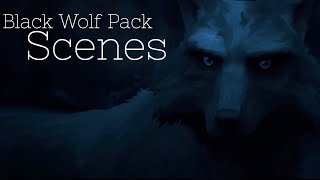 WHITE FANG 2018  Black Wolf Pack Scenes
