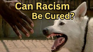 White Dog 1982 Can Racism be Cured