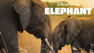 ElephantFeaturette  Movie Trailer Film Elzetes Class  2020