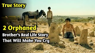 2 Iraqi Orphan Brothers Are Heading To America On A Donkey  Bekas 2012 Kurdish Film Review