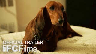WienerDog  Official Trailer I HD I IFC Films