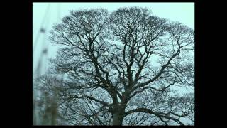 WUTHERING HEIGHTS  Official Theatrical Trailer US