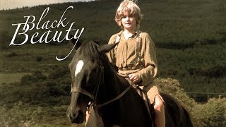 Black Beauty 1971 Trailer HD