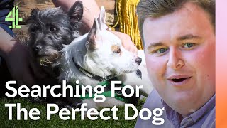 Finding the IDEAL Dog  The Dog House  Channel 4