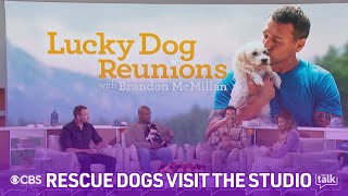 Brandon McMillan Brings Rescue Dogs Talks Lucky Dog Reunions
