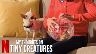 My Thoughts on the Netflix series TINY CREATURES