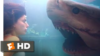 Deep Blue Sea 3 2020  Shark in a Trash Compactor Scene 1010  Movieclips