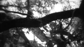 Tarzan the Ape Man 1932 Full Movie     Greek Subs