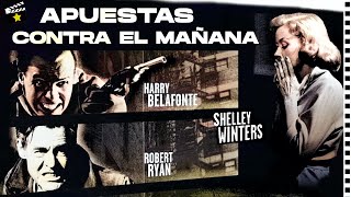 Harry Belafonte Robert Ryan Shelley Winters  Cine negro  Cine clsico en Espaol