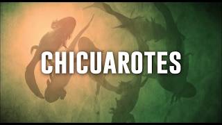 Chicuarotes trailer Una pelicula de Gael Garcia Pelculas de estreno 2019  Triler HD Youtube