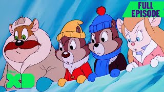 Chip n Dale Rescue Rangers Full Episode  S3 E4  A Chorus Crime  disneyxd