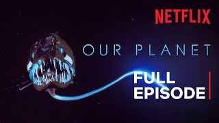Our Planet  High Seas  FULL EPISODE  Netflix