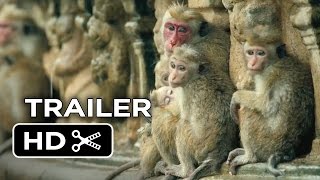Monkey Kingdom Official Trailer 1 2015  Disneynature Documentary HD