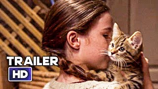 A CATS LIFE Trailer 2024 Family Drama Movie HD