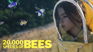 20000 Species of Bees 2023  Trailer  Estibaliz Urresola Solaguren